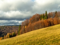 Szlak na Jaworzynę Krynicką